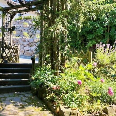 Waldseele Appartement Battenberg  エクステリア 写真