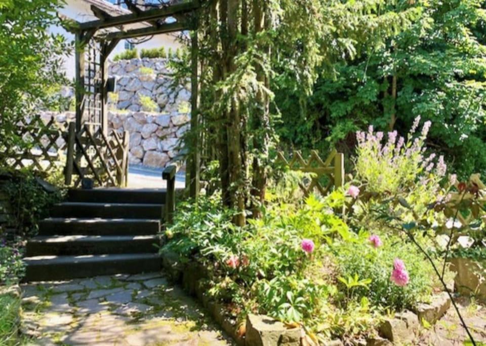 Waldseele Appartement Battenberg  エクステリア 写真