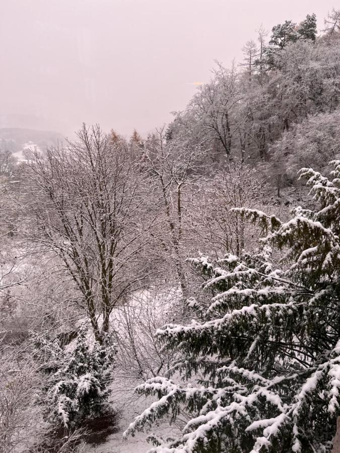 Waldseele Appartement Battenberg  エクステリア 写真